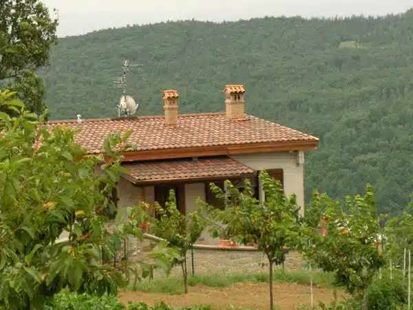 riparazione-tegole-Reggiolo